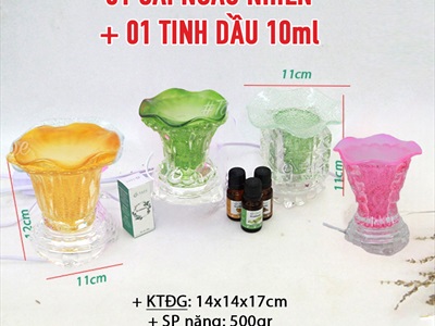 COMBO: 01 đèn xông tinh dầu điện thủy tinh + 01 tinh dầu 10ml [Tặng bóng đèn] DXTDD-COMBO-01